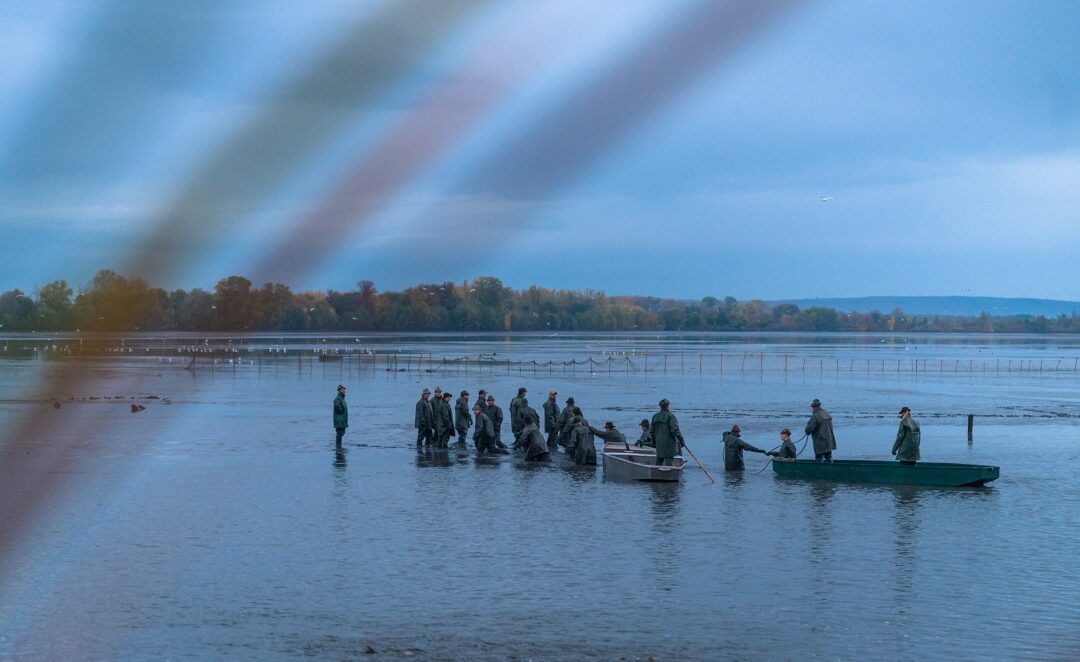 Pozvánka na výlov rybníka Vrkoč