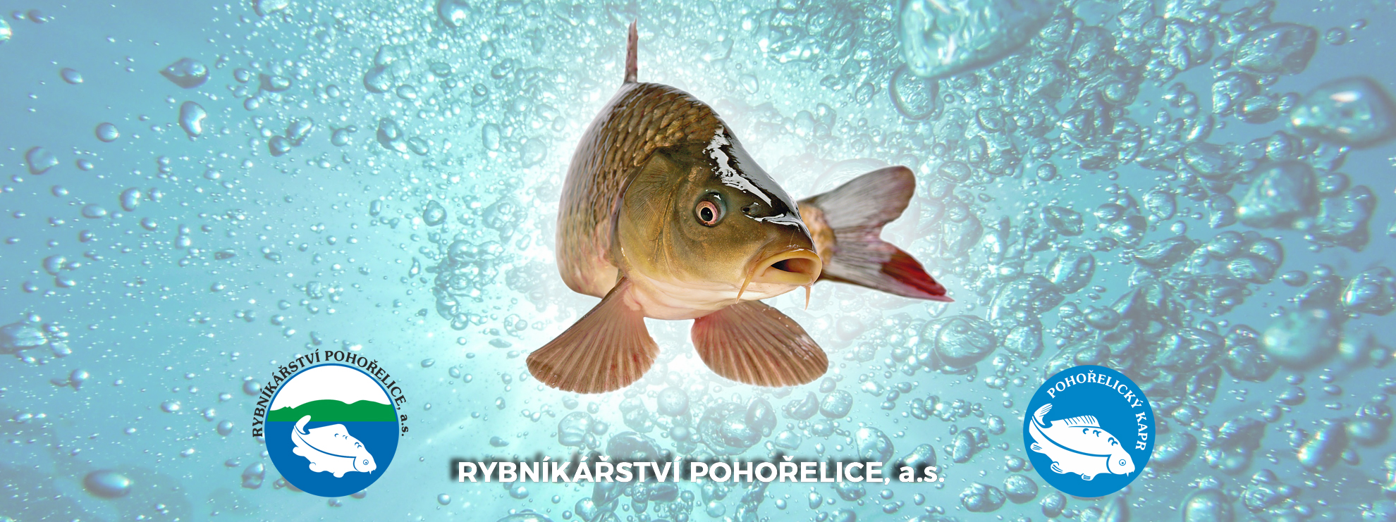 rybnikarstvi-pohorelice