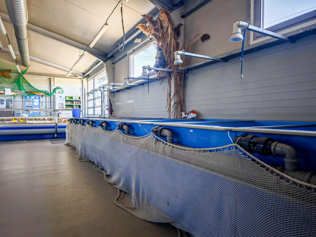 prodejna-rybnikarstvi